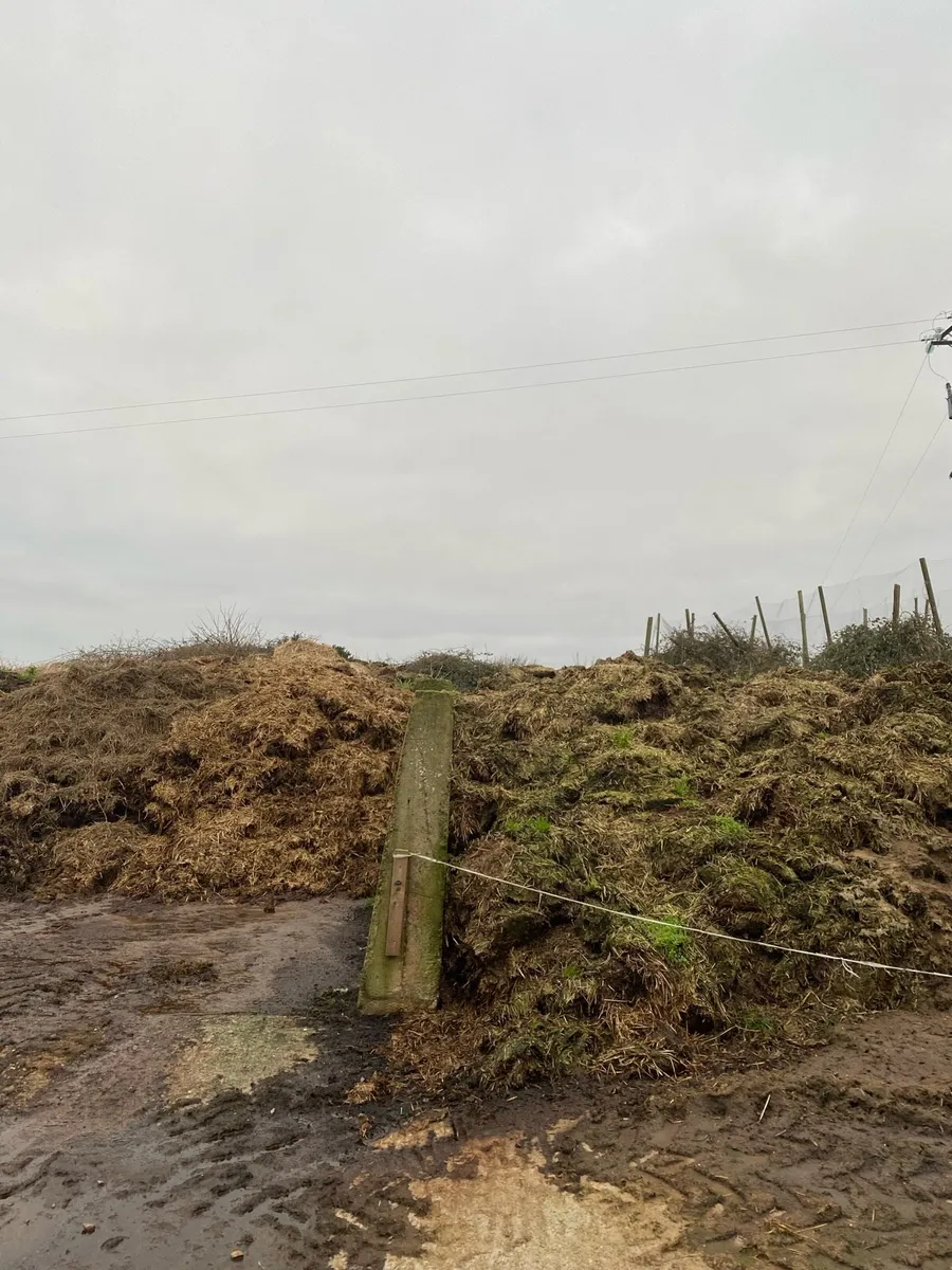 Dung - Free to take away