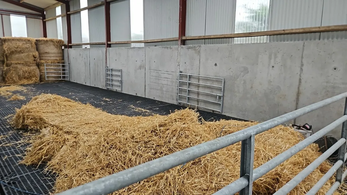 Calf & Sheep Slats - Image 1