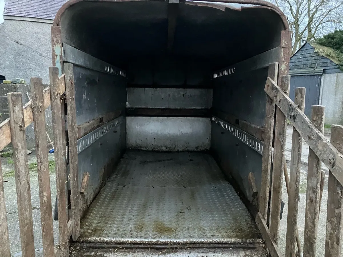 Cattle trailer - Image 4