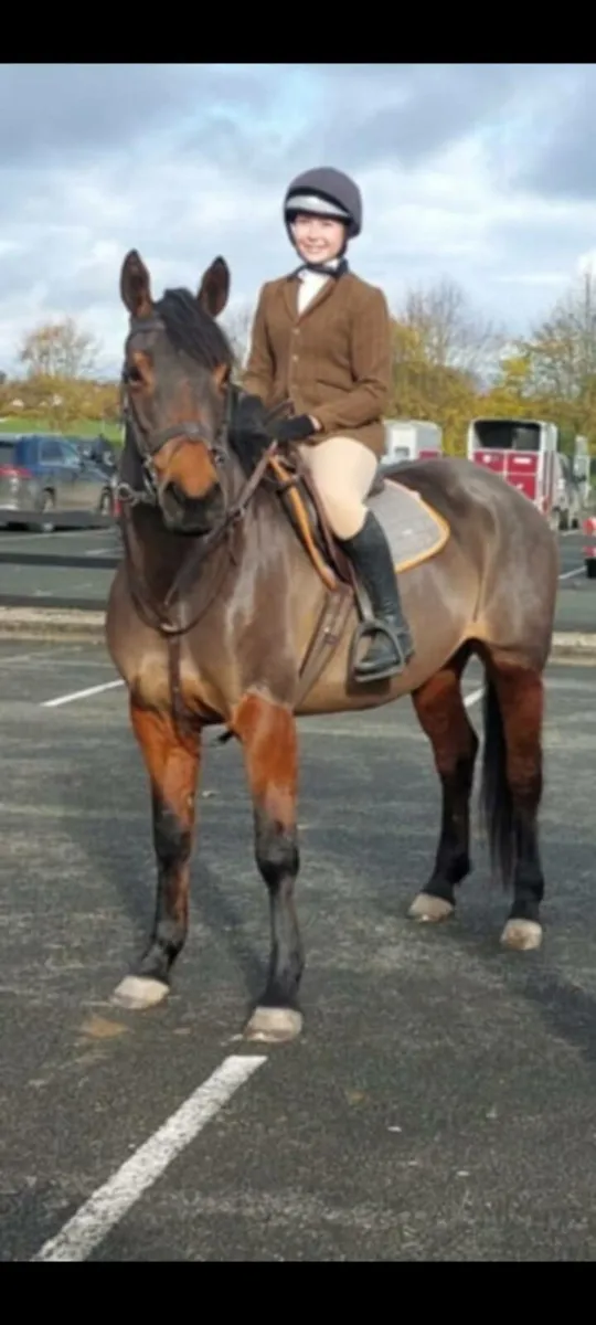 Hunting Machine - Image 1