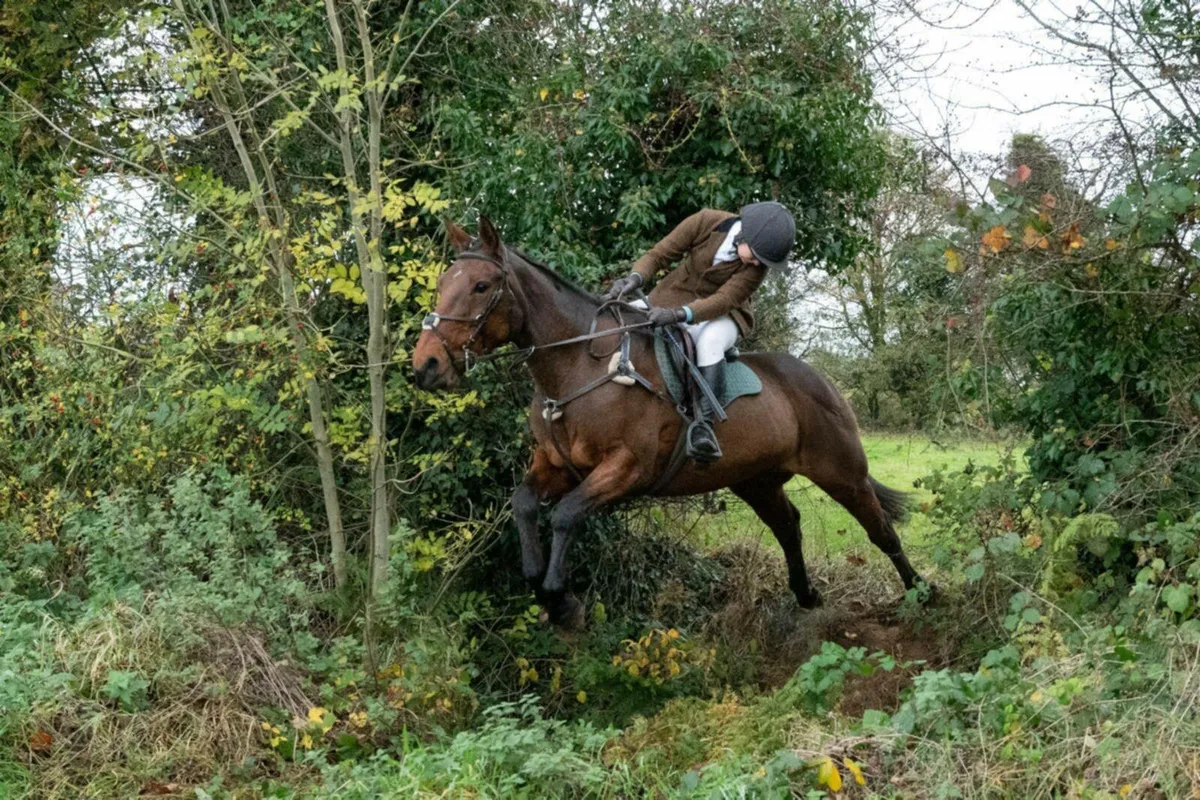 Hunting Machine - Image 3