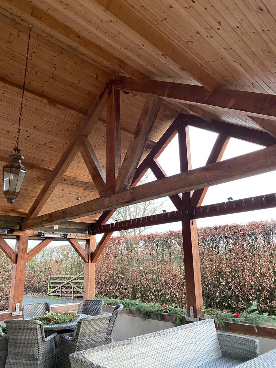 Douglas fir tgv - Image 1