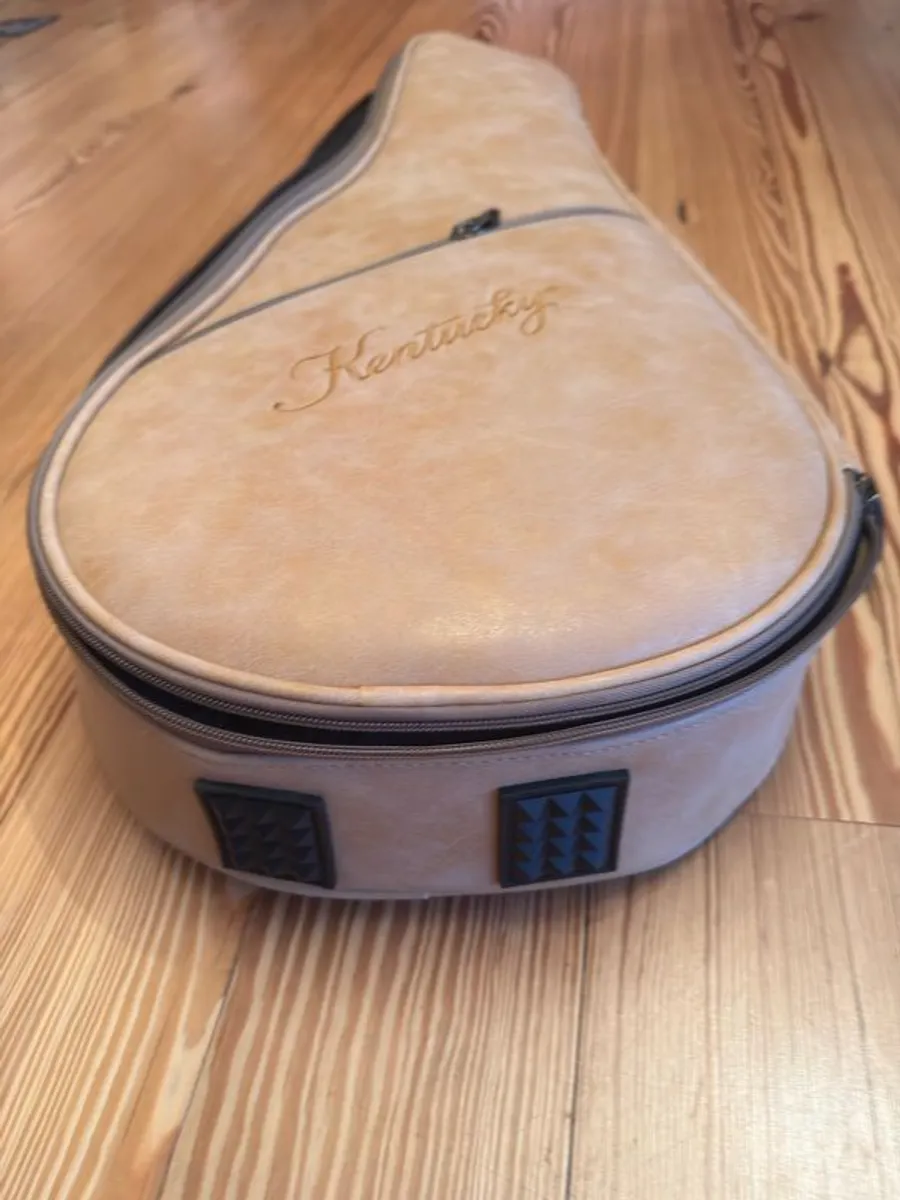 Kentucky Mandolin Bag/case - Image 2