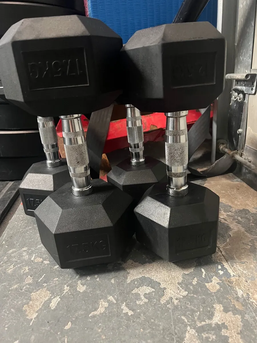 Olympic bar & Plates and DBs - Image 4