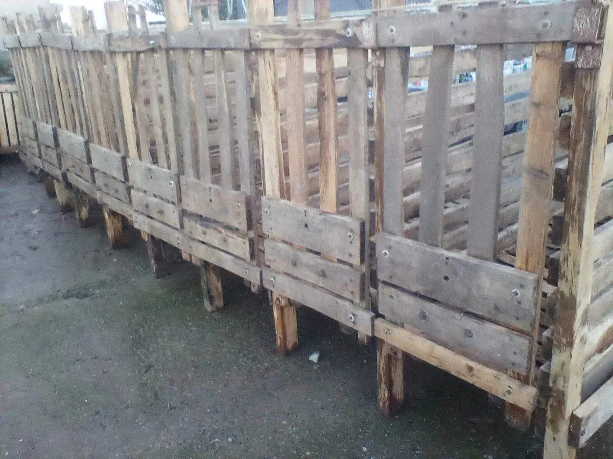 Single calf pens with slats - Image 3