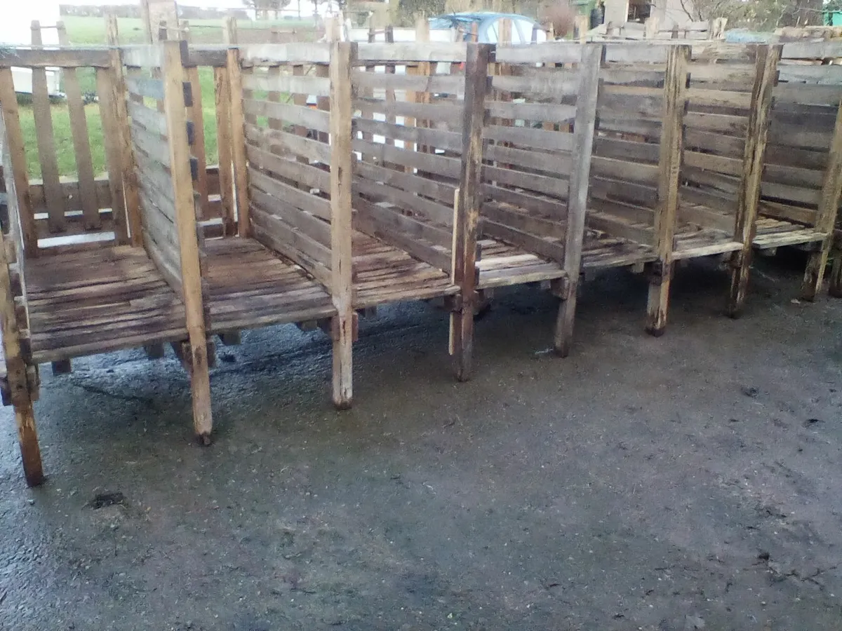 Single calf pens with slats - Image 4