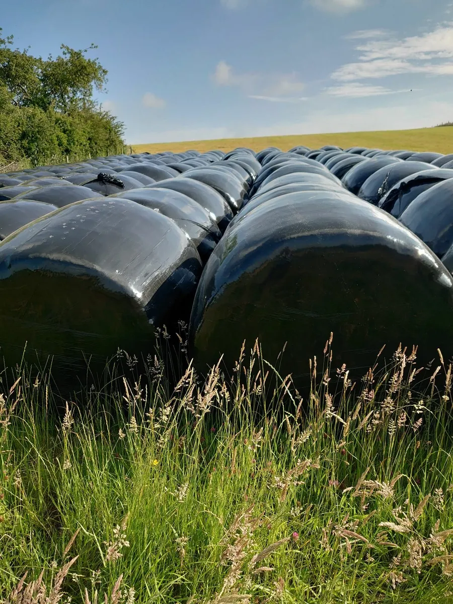 Silage for sale Co.Meath - Image 1