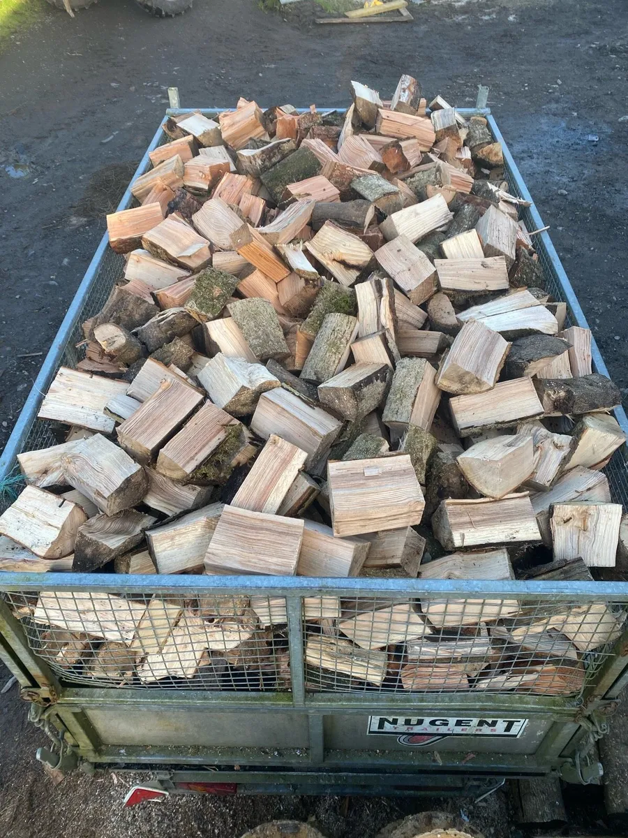 Seasoned firewood - Image 1