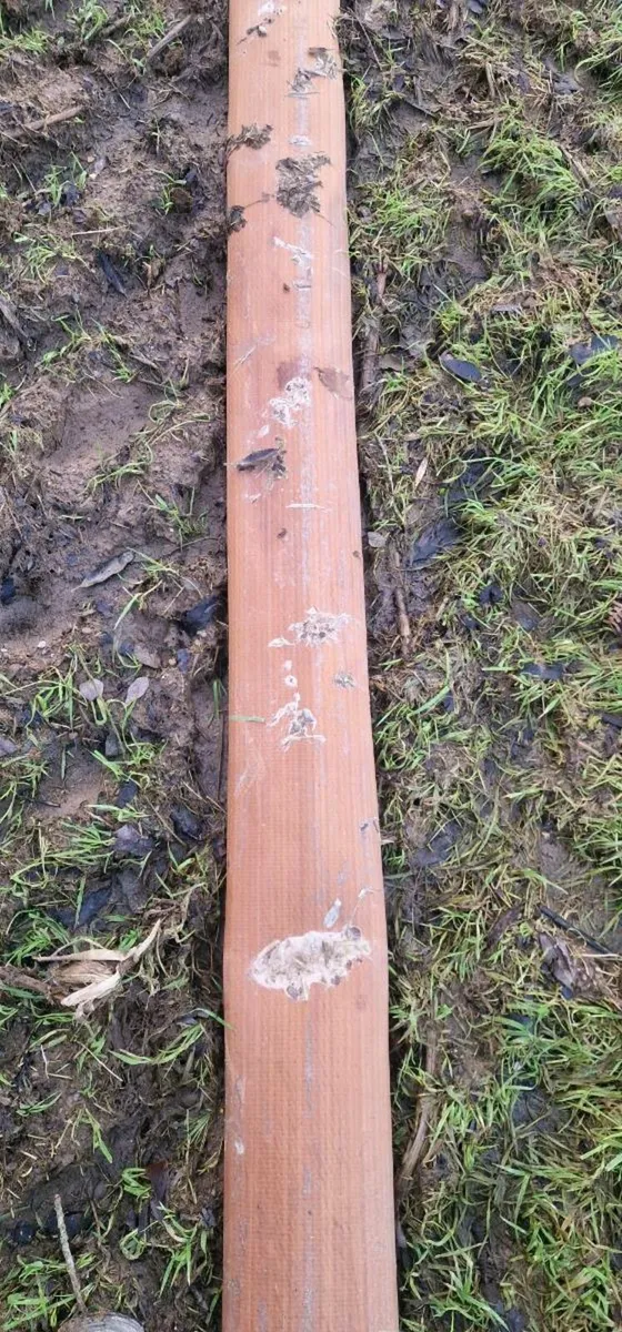 Lay flat hose - Image 2