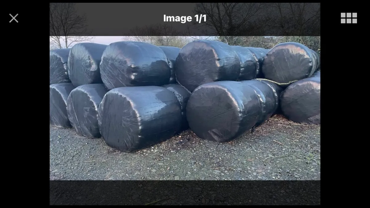 Silage.   Farnfore Kerry