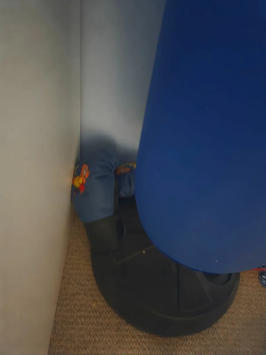 Boxing club freestanding punching bag - Image 1