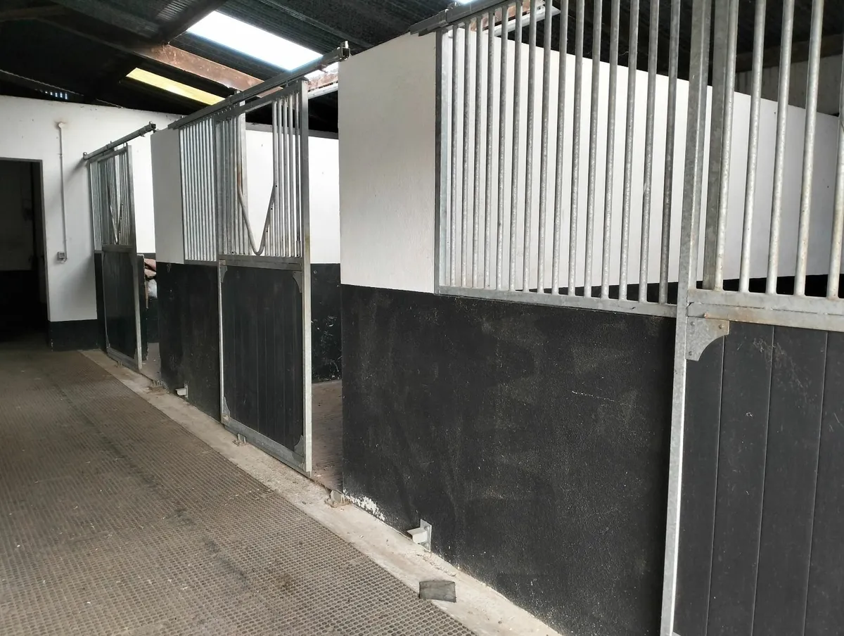 4 livery space available in Ballyhale, Co.Kilkenny - Image 1