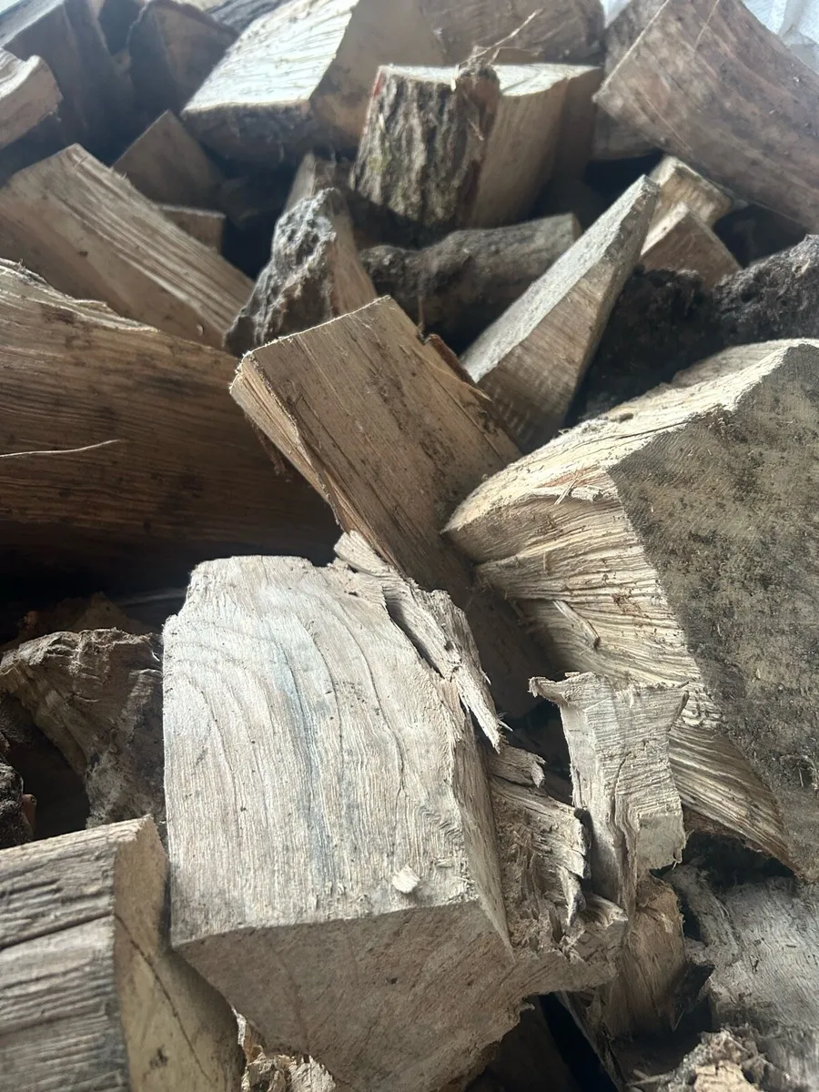 Fire wood - Image 3