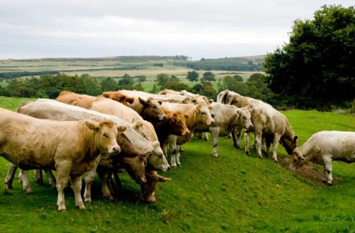 Land Lettings & Leases 2026 - Image 3