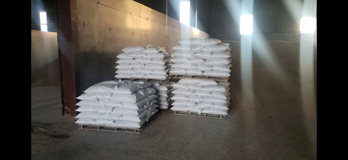 Barley, wheat and oats for sale - Image 1