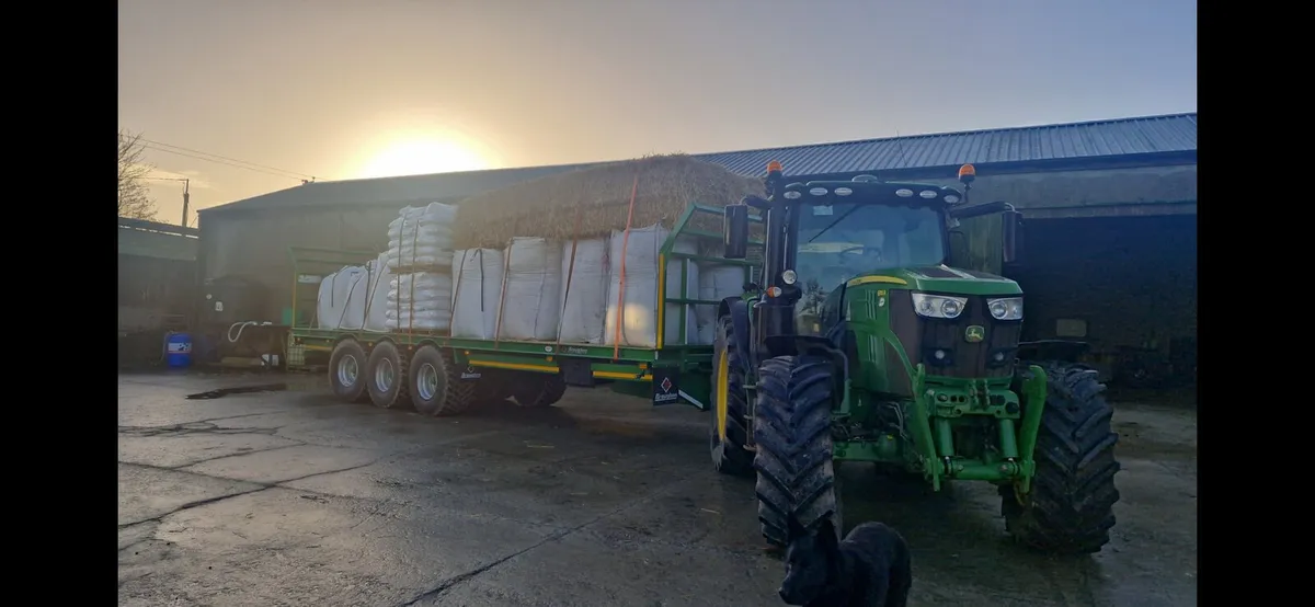 Barley, wheat and oats for sale - Image 3