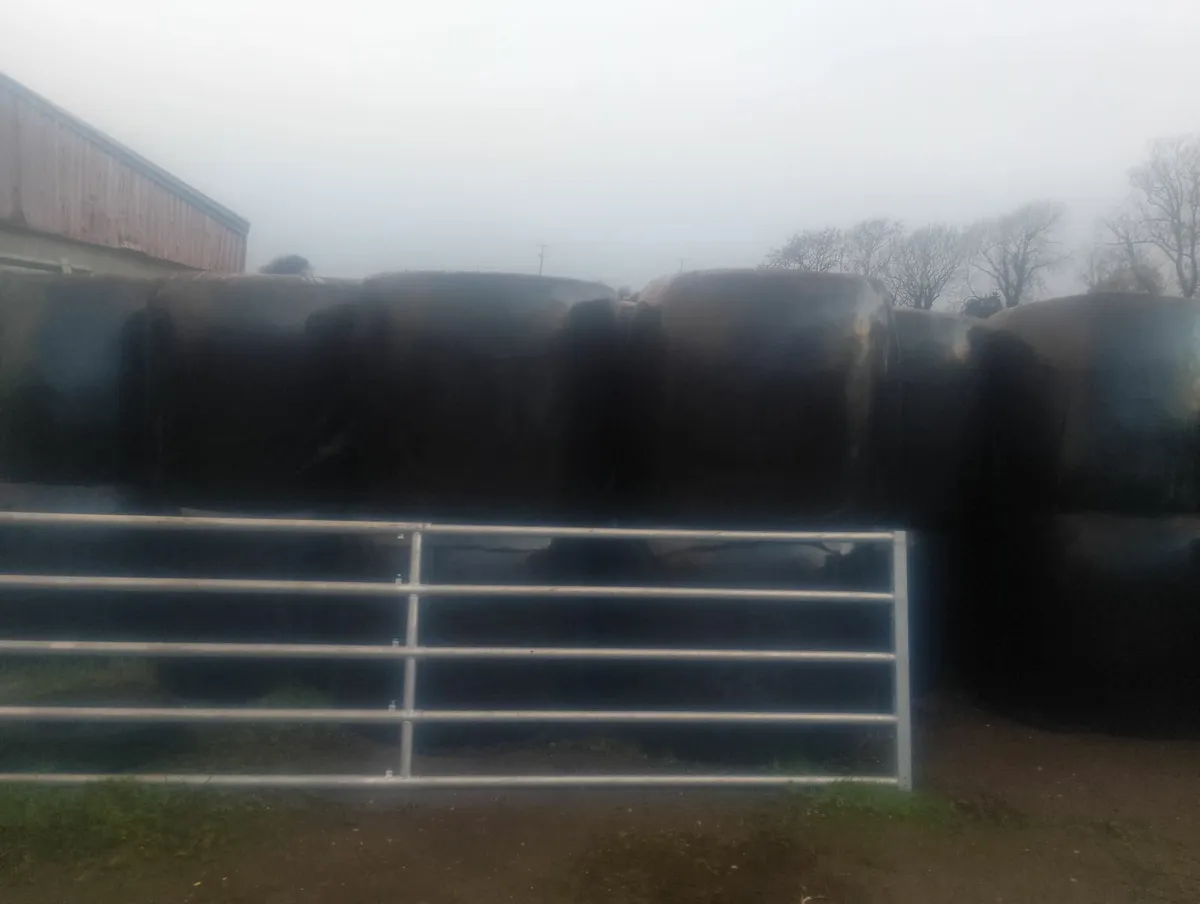 Haylage - Image 3