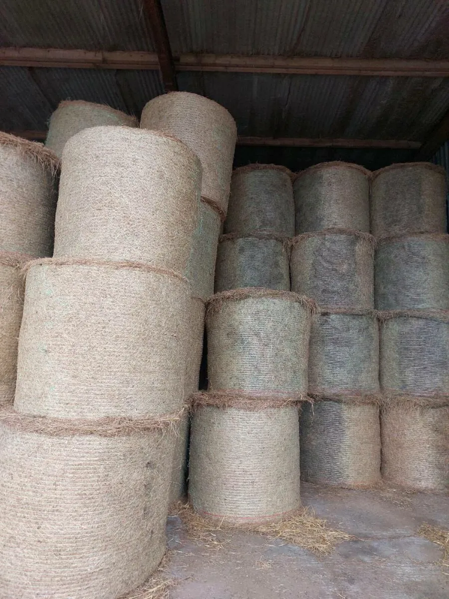 Hay And Straw - Image 1