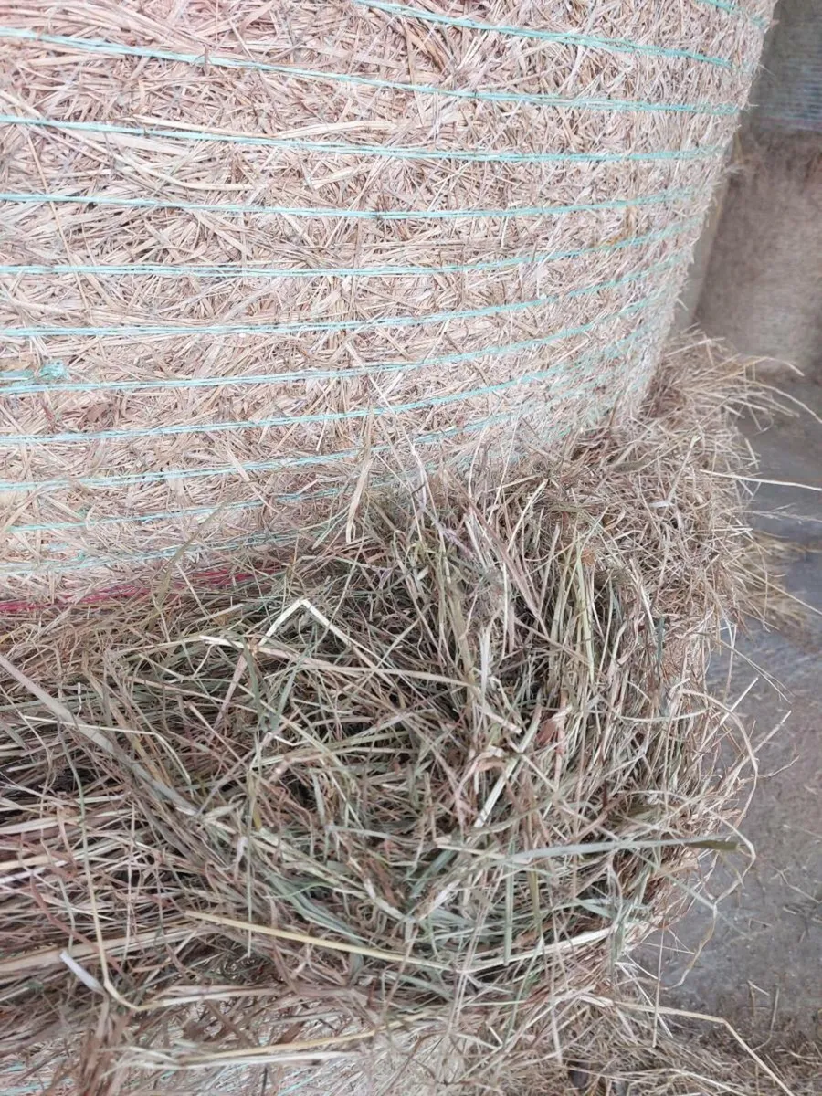 Hay And Straw - Image 2