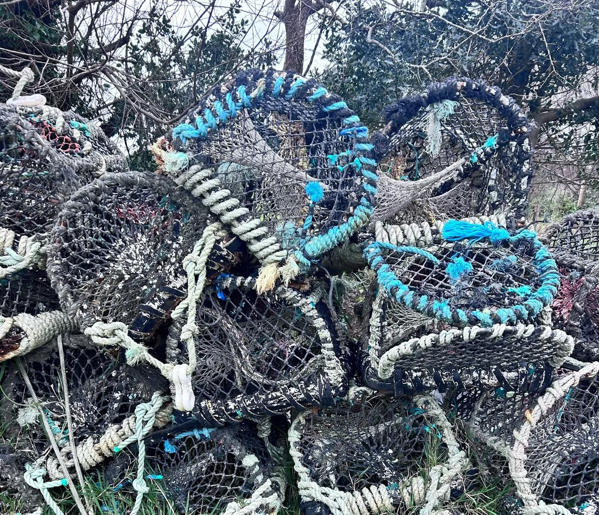 50 lobster pots for sale - Image 1