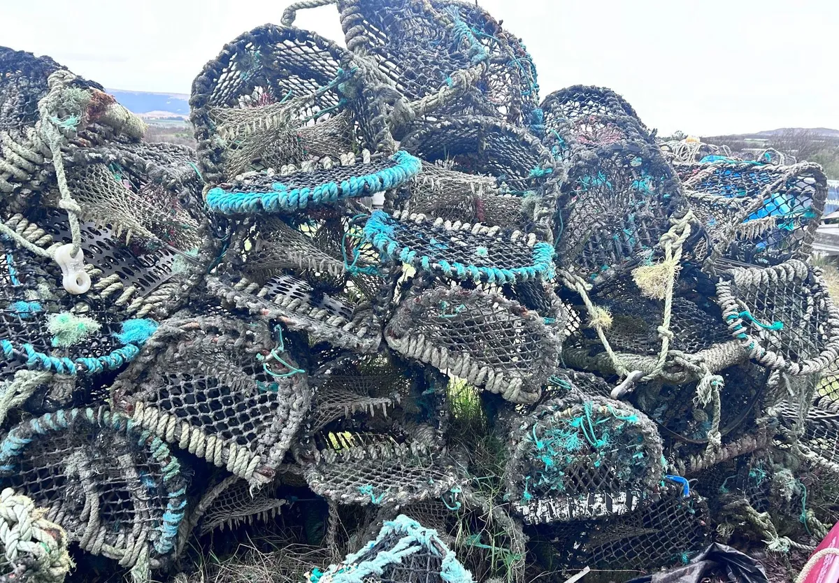 50 lobster pots for sale - Image 3