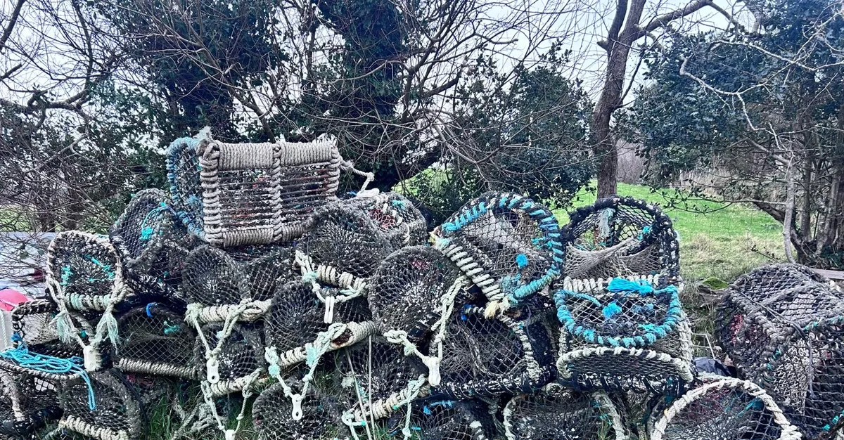 50 lobster pots for sale - Image 2