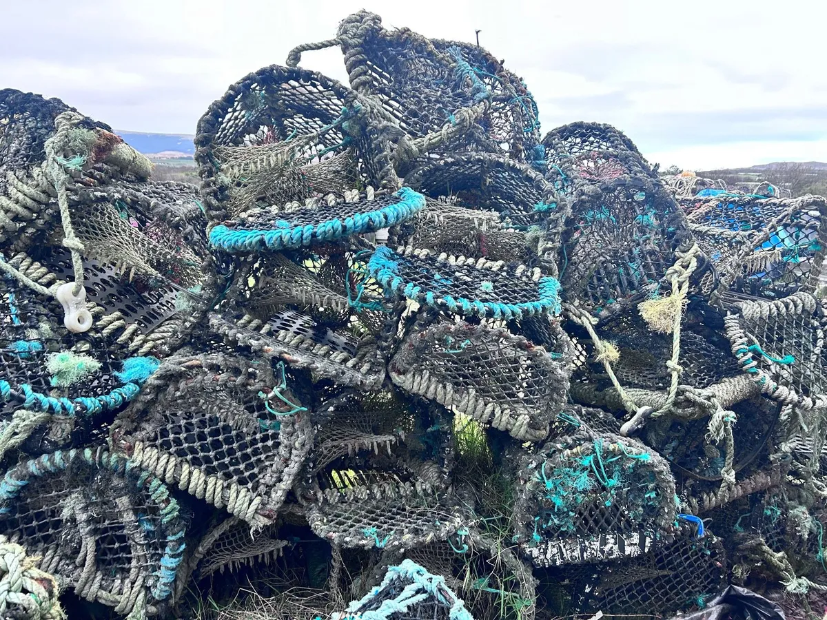50 lobster pots for sale - Image 4