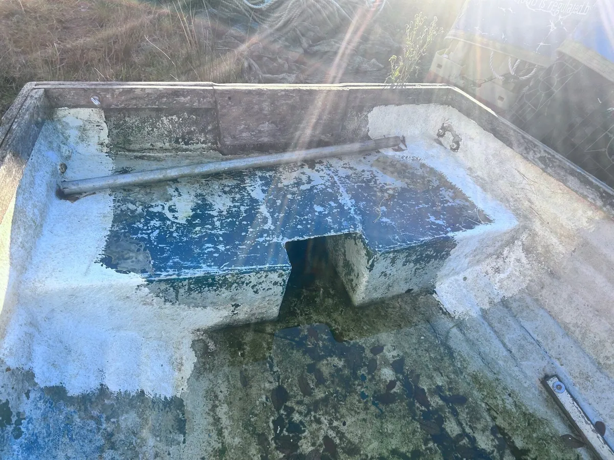 12 ft punt for sale - Image 2