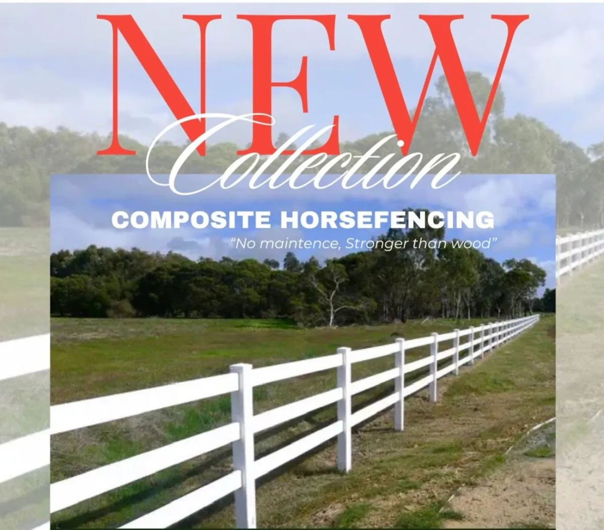 Distributors Wanted  -80 Products - Image 4