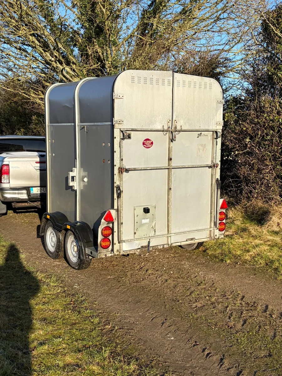 Classic Ifor Williams Horse Box - Image 2
