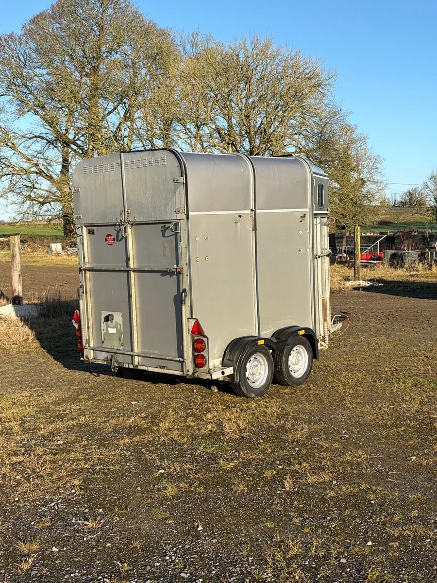 Classic Ifor Williams Horse Box - Image 4