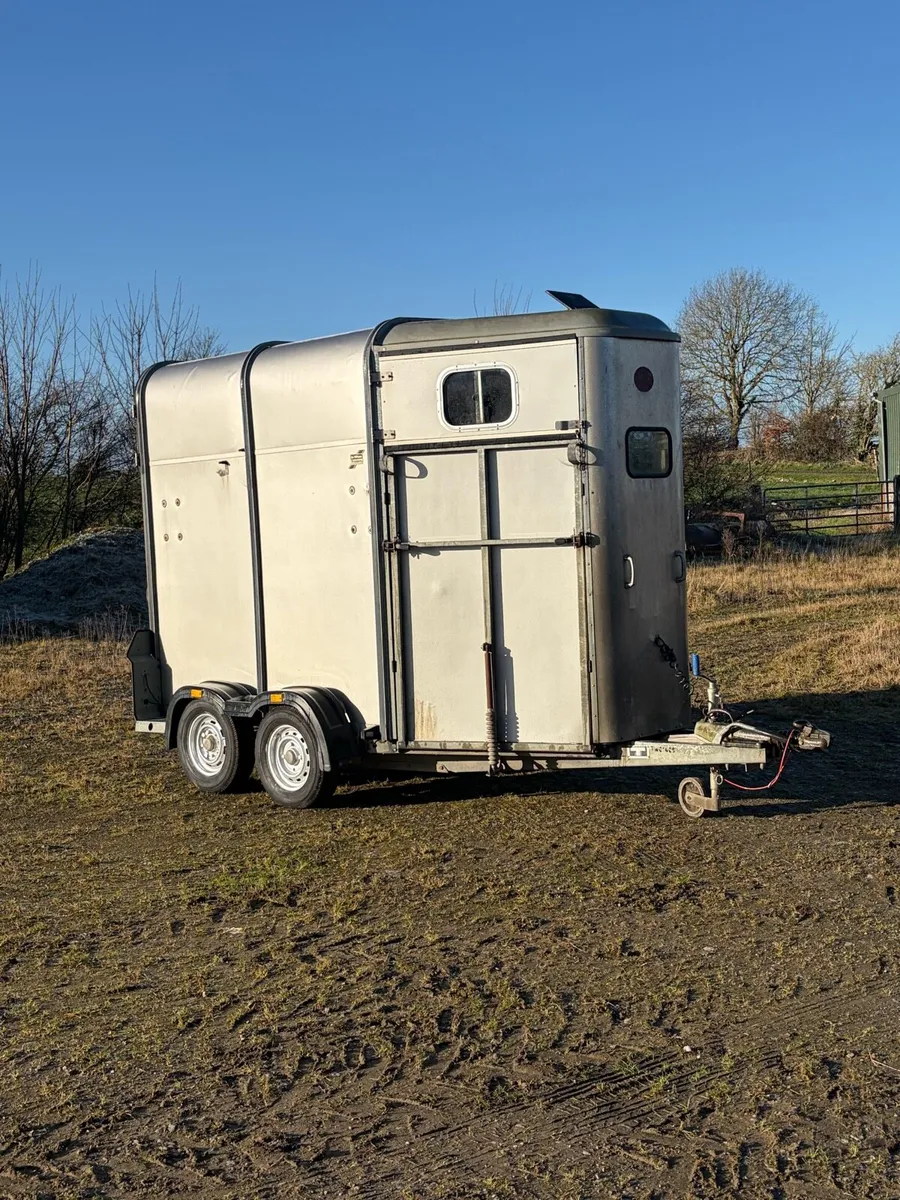 Classic Ifor Williams Horse Box - Image 3