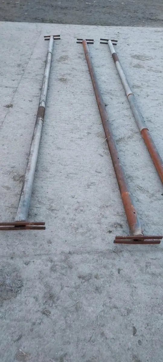 Cow cubicles and barriers - Image 1