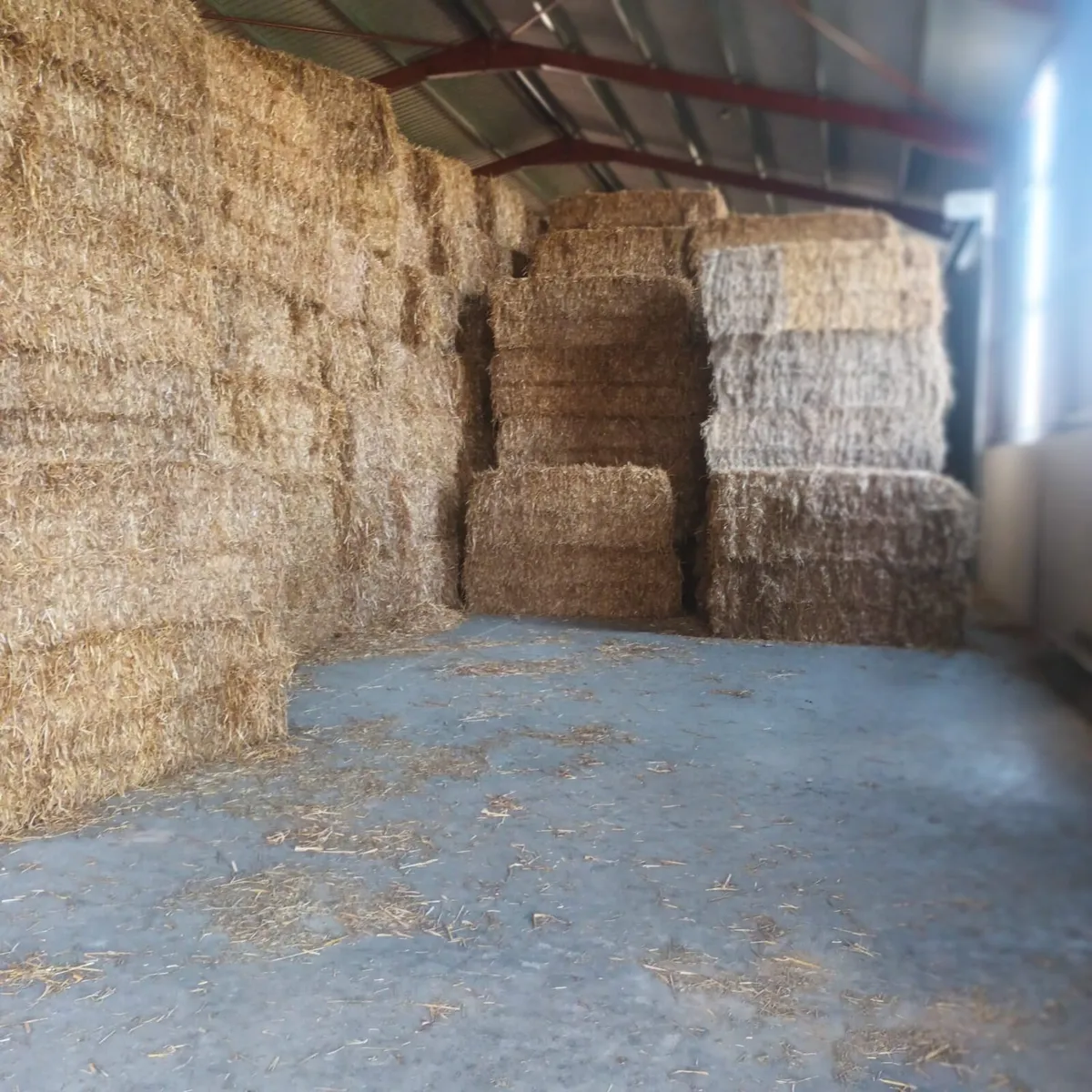 Barley Wheat & Oat Straw - Image 2