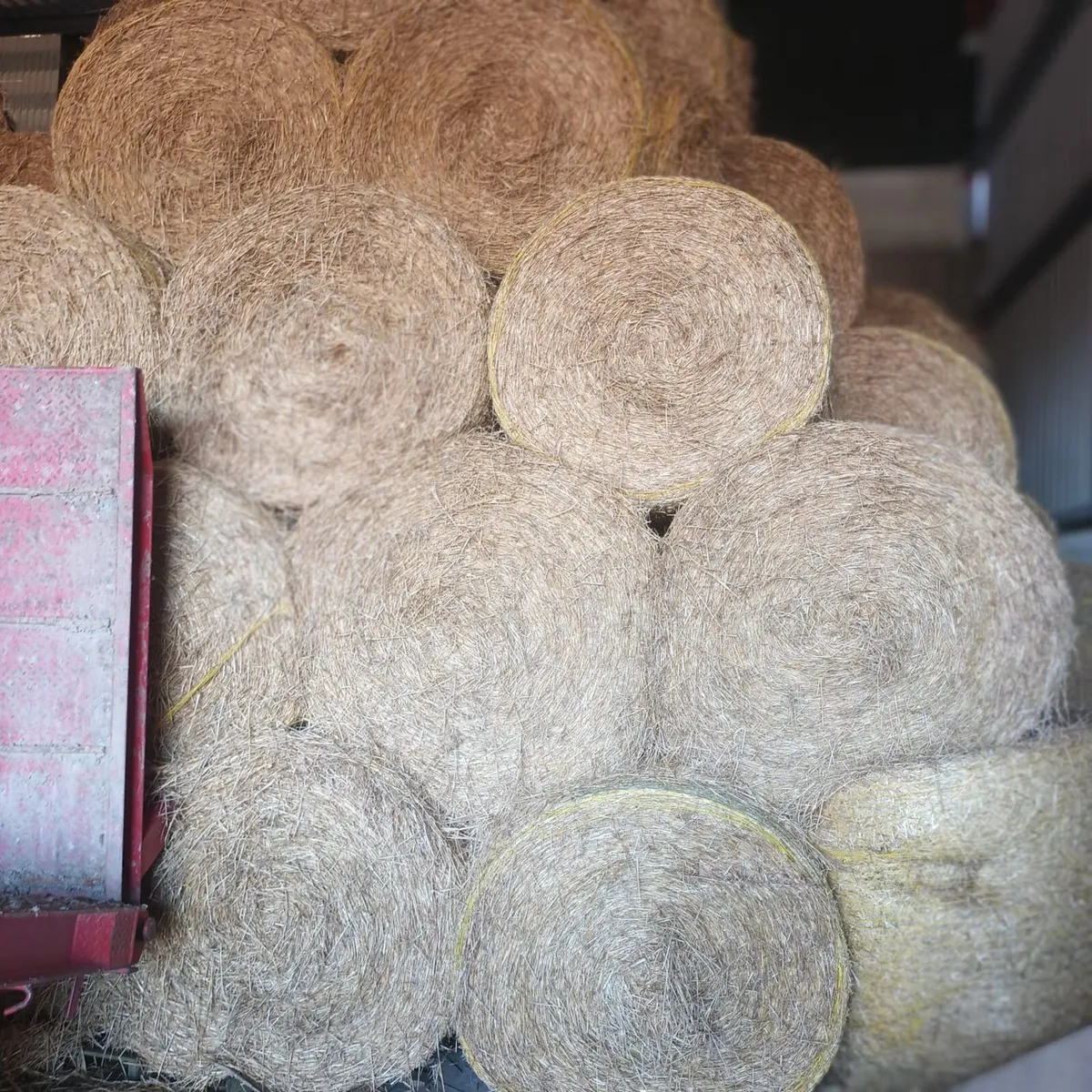 Barley Wheat & Oat Straw - Image 3