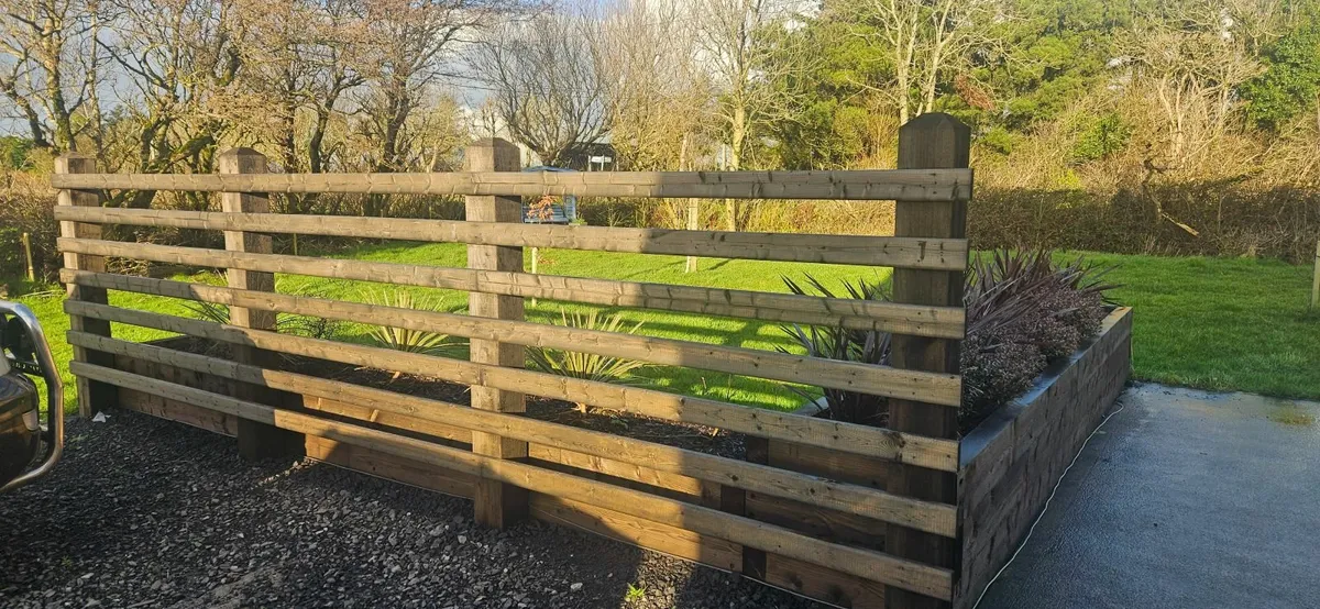 Tree and Groundworks - Image 3