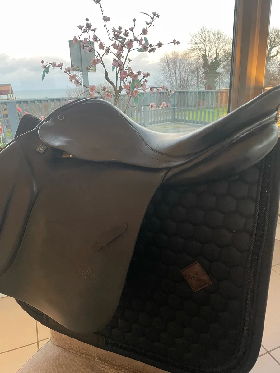 ‼️16.5 Stubben GP Saddle‼️ - Image 1