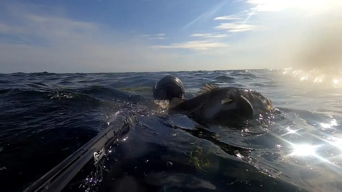 Spearfishing Equipment - Image 1