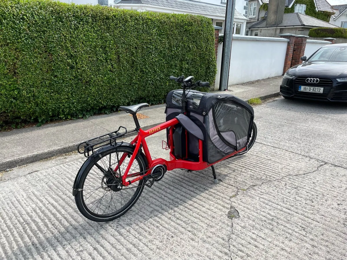 Electric Cargo Bike - Image 3