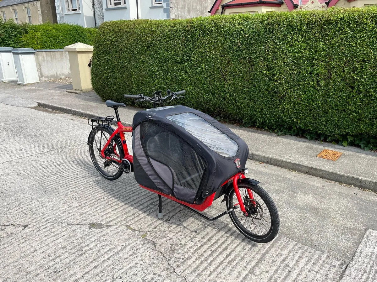 Electric Cargo Bike - Image 1