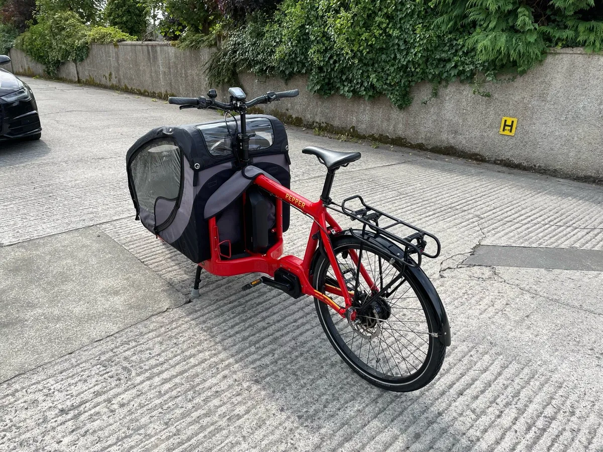 Electric Cargo Bike - Image 2