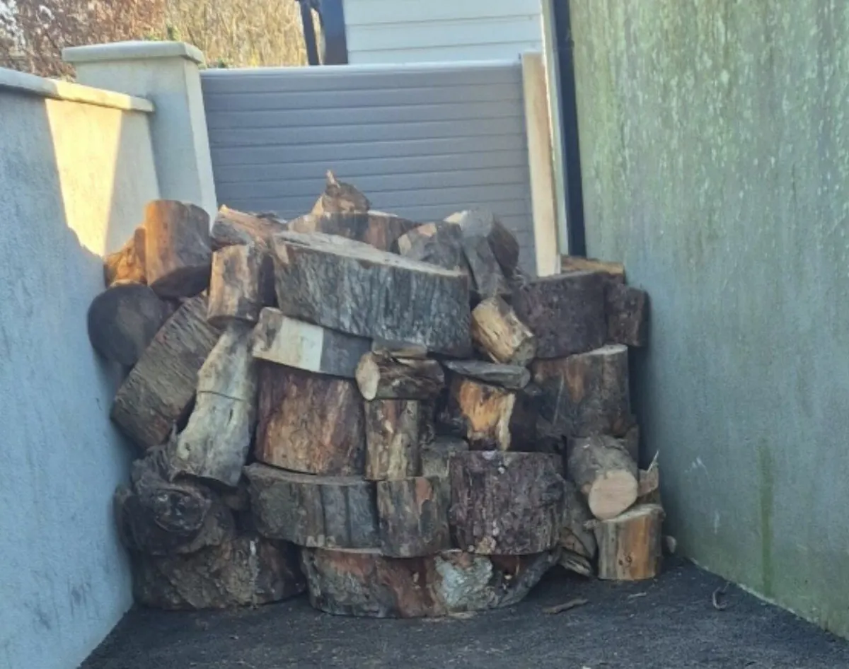 Fire wood - Image 1