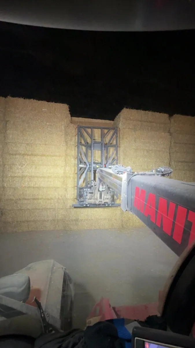 Barley & Wheat Straw for sale 8/4/3 - Image 2