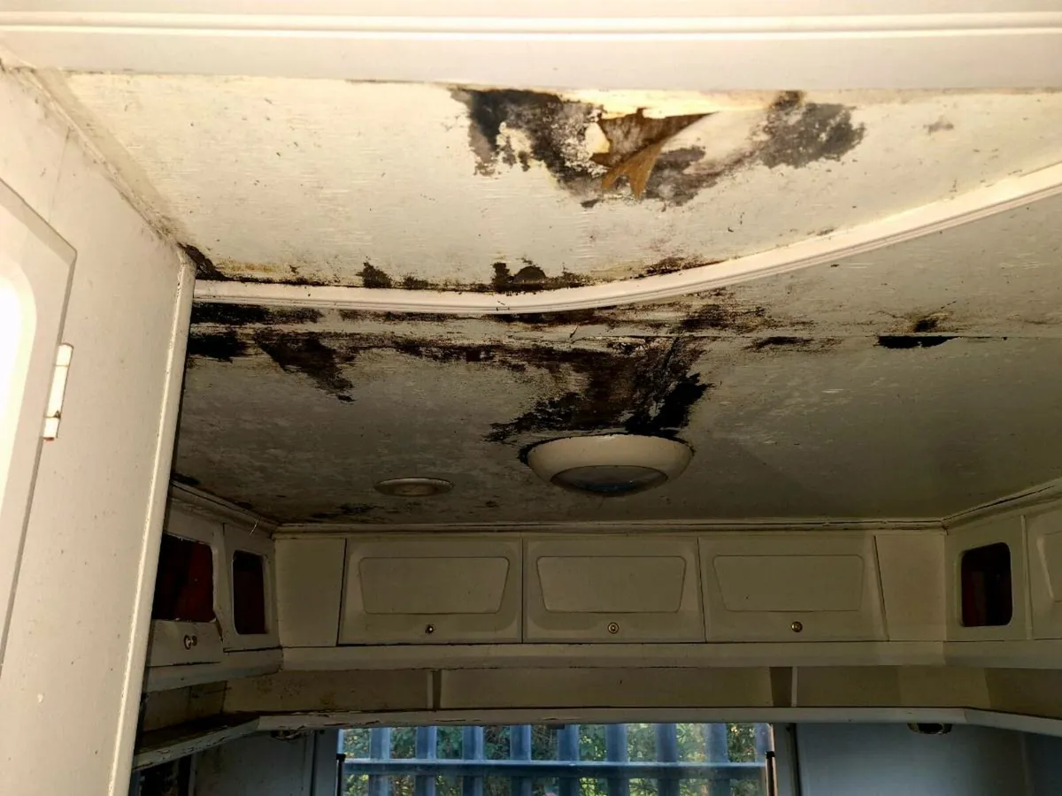 00 FIAT CAMPERVAN - Image 4