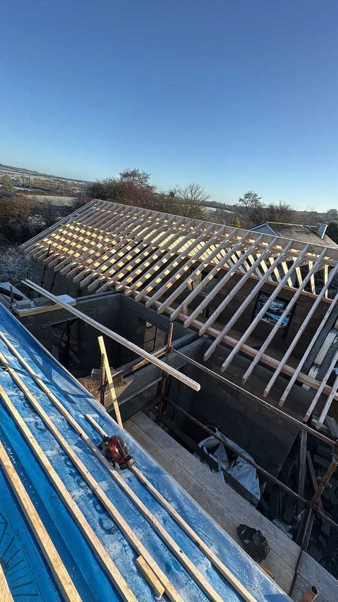 Roofing and renovations