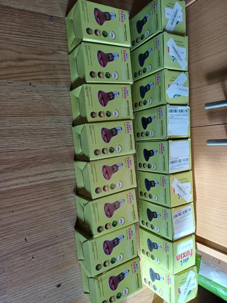 reptile vivarium - Image 3