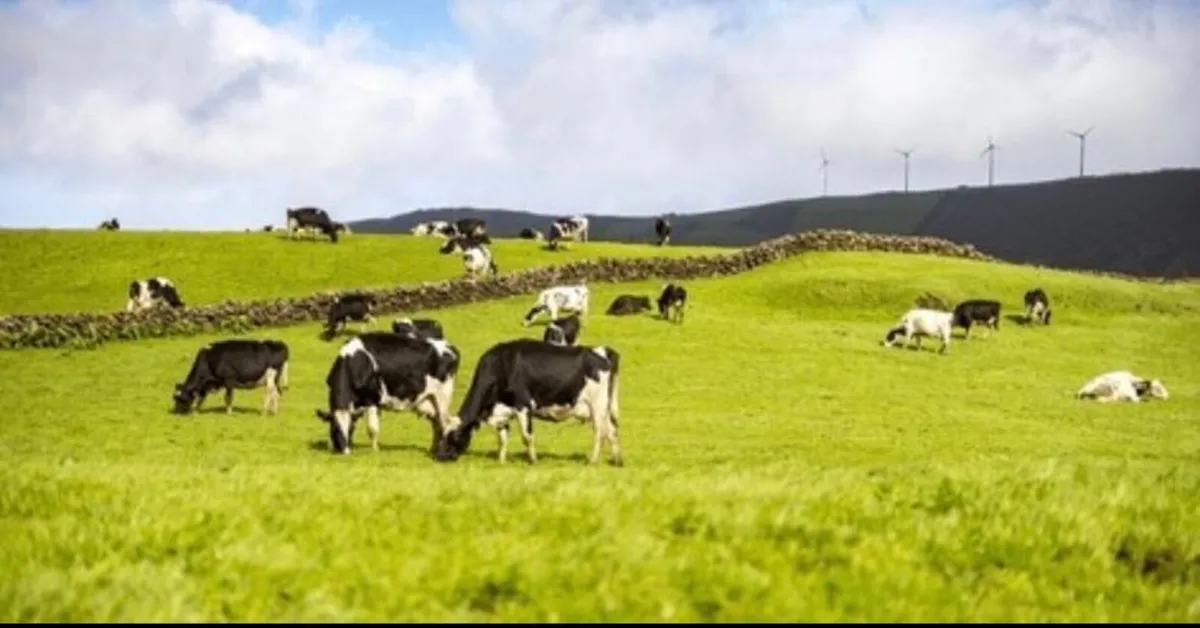 Land letting & Leases 2026 - Image 4