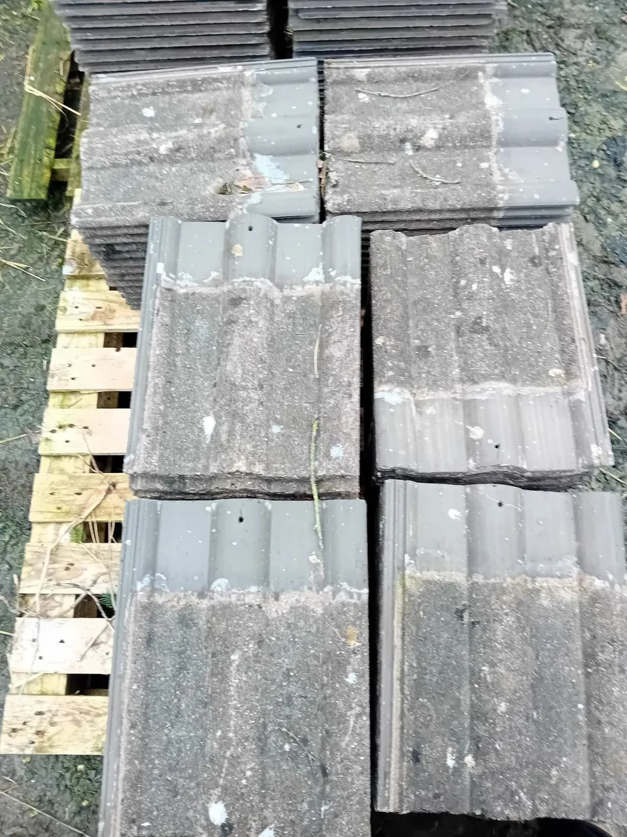 Roof tiles - Image 2