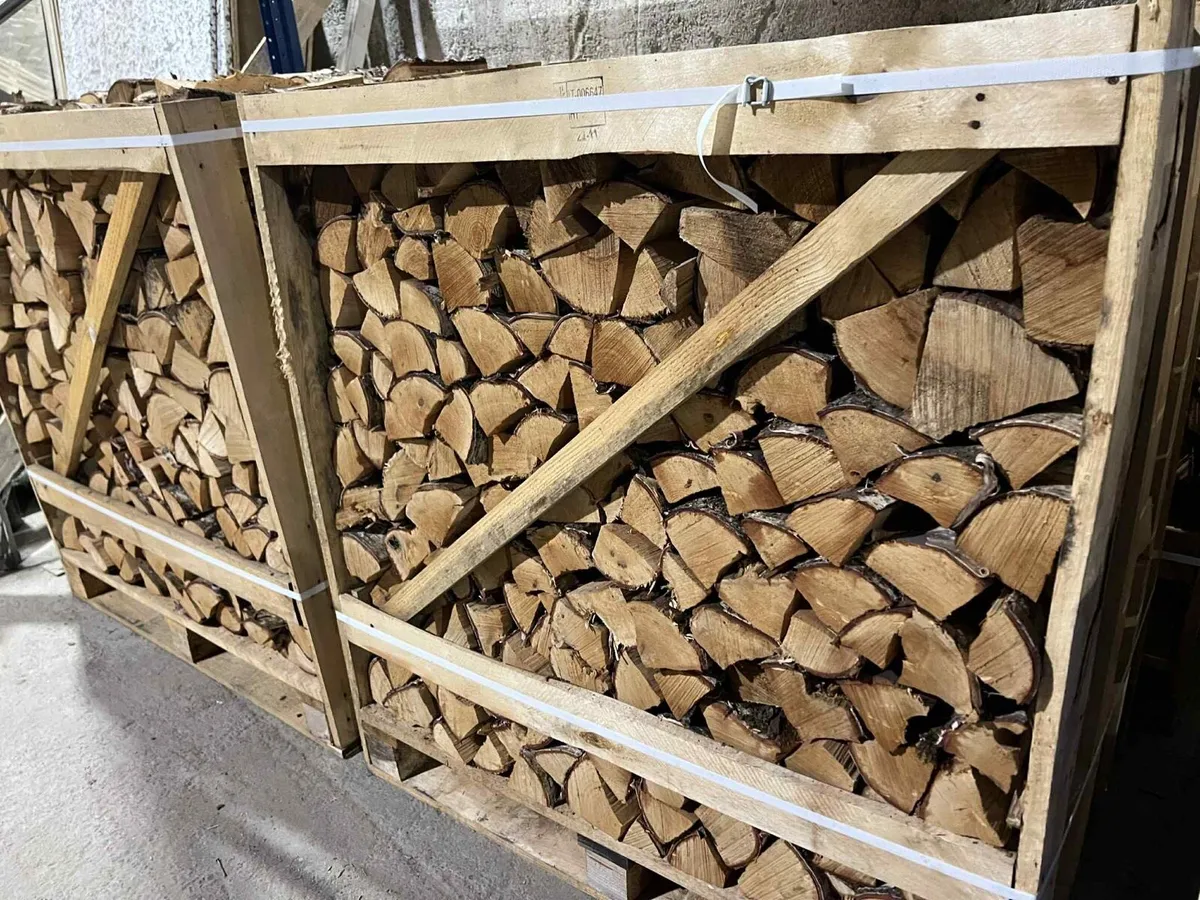 Kiln‑dried logs - Birch wood / Ready to Burn - Image 3