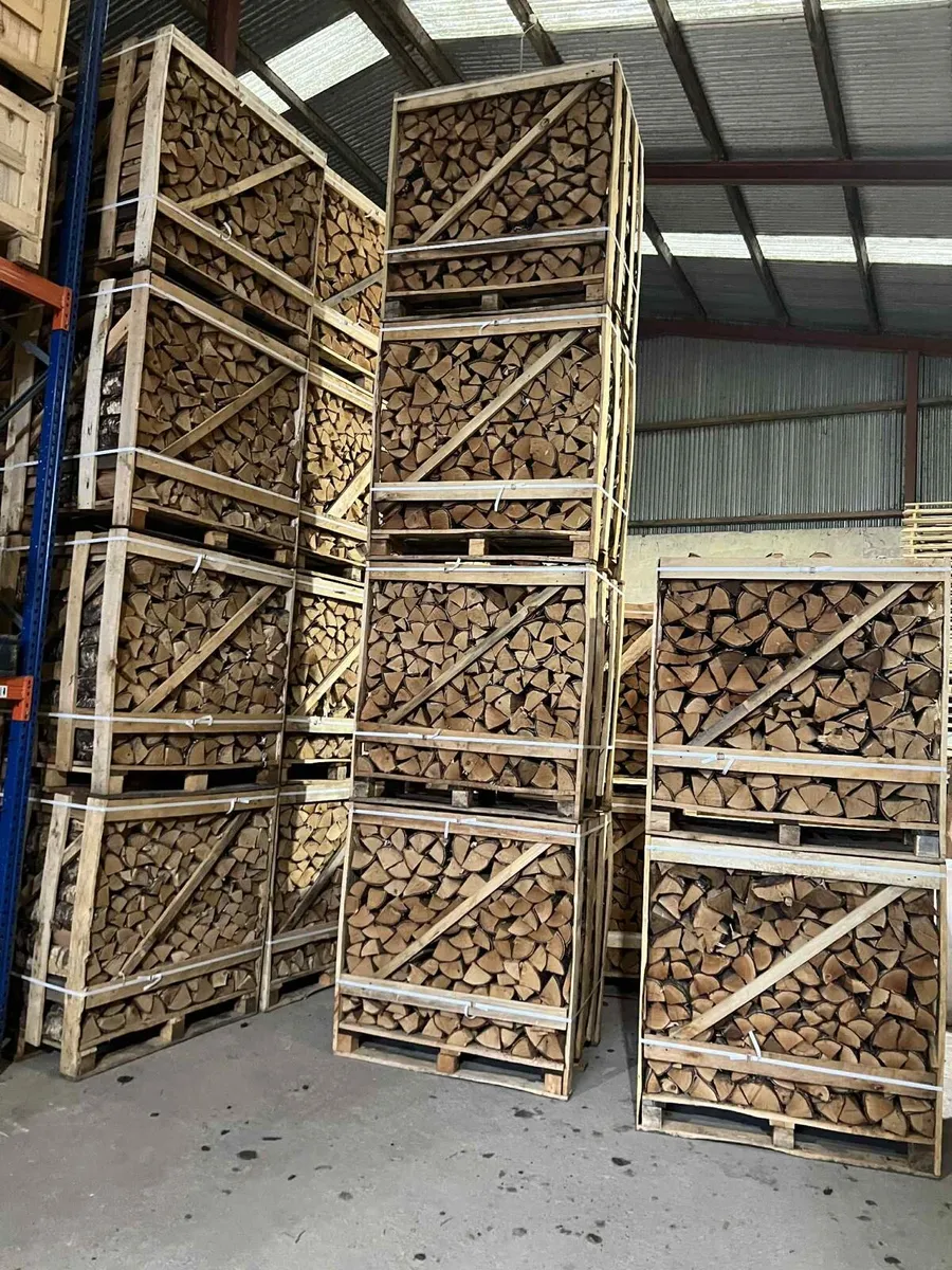 Kiln‑dried logs - Birch wood / Ready to Burn - Image 2